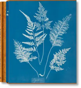 Walther |  Anna Atkins. Cyanotypes | Buch |  Sack Fachmedien