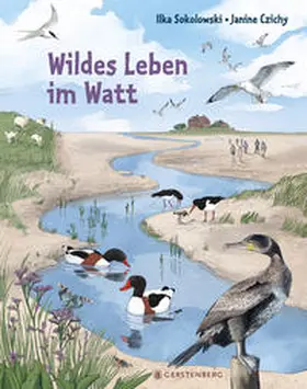 Sokolowski |  Wildes Leben im Watt | Buch |  Sack Fachmedien