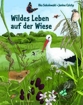 Sokolowski |  Wildes Leben auf der Wiese | Buch |  Sack Fachmedien