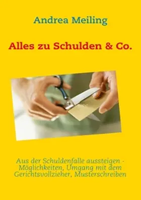 Meiling / Verlag4you |  Alles zu Schulden & Co. | Buch |  Sack Fachmedien