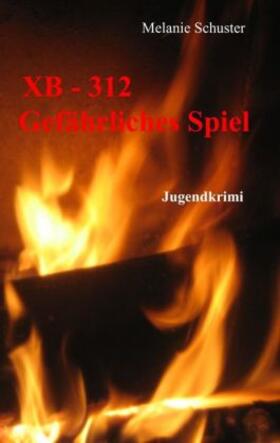 Schuster |  XB-312  Gefährliches Spiel | Buch |  Sack Fachmedien