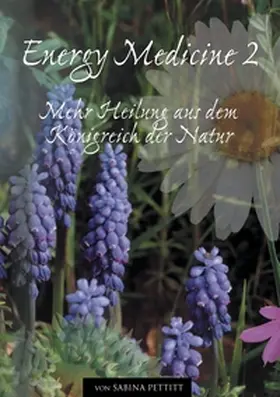 Pettitt / Sann |  Energy Medicine 2 | Buch |  Sack Fachmedien