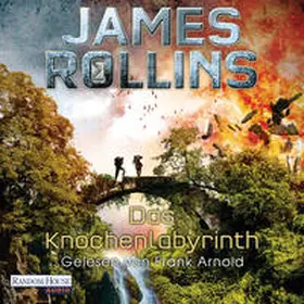Rollins | Das Knochenlabyrinth | Sonstiges | 978-3-8371-4236-5 | www2.sack.de