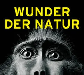 Gasometer Oberhausen GmbH / Pachnicke |  Wunder der Natur | Buch |  Sack Fachmedien