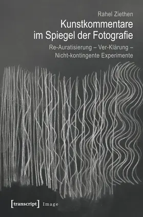 Ziethen |  Kunstkommentare im Spiegel der Fotografie | Buch |  Sack Fachmedien