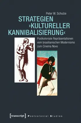 Schulze |  Strategien ›kultureller Kannibalisierung‹ | Buch |  Sack Fachmedien