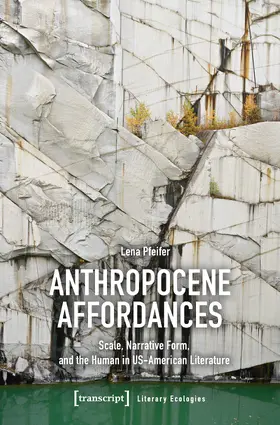 Pfeifer |  Anthropocene Affordances | Buch |  Sack Fachmedien