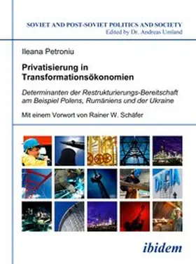 Petroniu |  Privatisierung in Transformationsökonomien | eBook | Sack Fachmedien