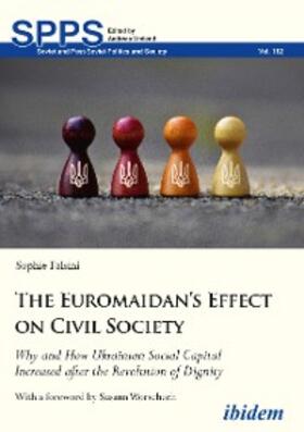 Falsini |  The Euromaidan's Effect on Civil Society | eBook | Sack Fachmedien