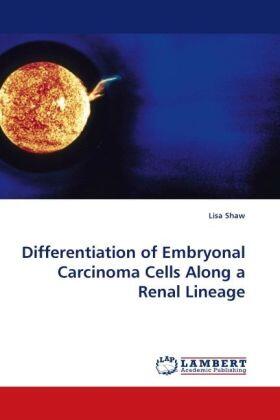 Shaw |  Differentiation of Embryonal Carcinoma Cells Along a Renal Lineage | Buch |  Sack Fachmedien