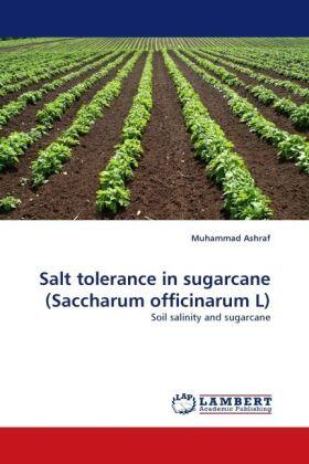 Ashraf |  Salt tolerance in sugarcane (Saccharum officinarum L) | Buch |  Sack Fachmedien