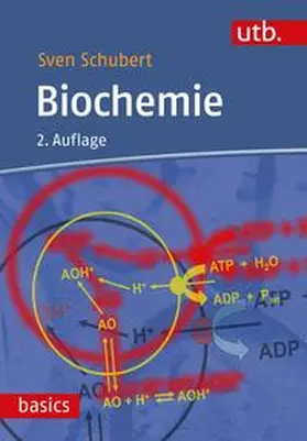 Schubert |  Biochemie | eBook | Sack Fachmedien