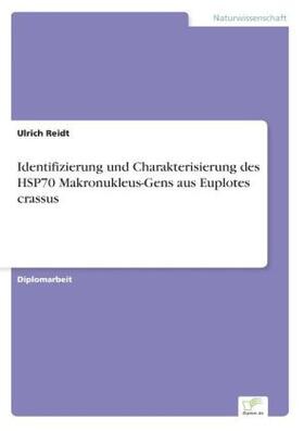 Reidt |  Identifizierung und Charakterisierung des HSP70 Makronukleus-Gens aus Euplotes crassus | Buch |  Sack Fachmedien