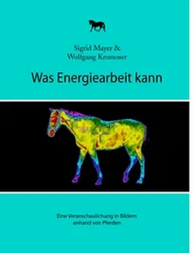 Mayer / Kromoser |  Was Energiearbeit kann | Buch |  Sack Fachmedien