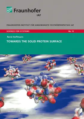 Ambacher / Hoffmann / Fraunhofer IAF, Freiburg |  Towards the solid protein surface | Buch |  Sack Fachmedien