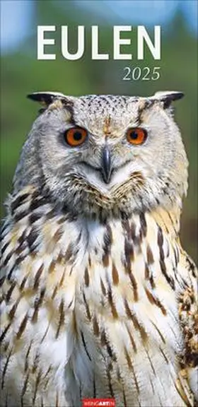  Eulen Kalender 2025 | Sonstiges |  Sack Fachmedien