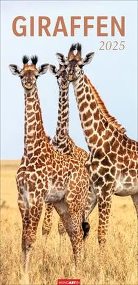 Giraffen Kalender 2025 | Sonstiges | 978-3-8399-0139-7 | www2.sack.de