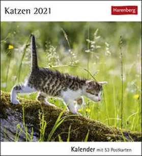 Harenberg |  Katzen 2021 | Sonstiges |  Sack Fachmedien