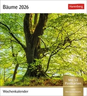 Harenberg |  Bäume Postkartenkalender 2026 - Wochenkalender mit 53 Postkarten | Sonstiges |  Sack Fachmedien