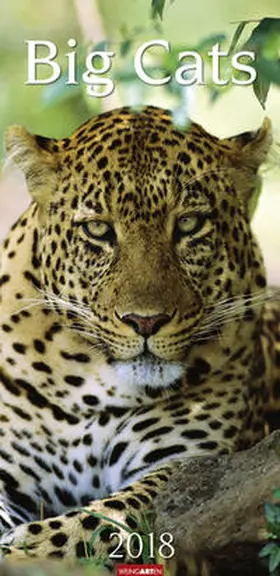 Big Cats - Kalender 2018 | Sonstiges | 978-3-8400-7112-6 | www2.sack.de
