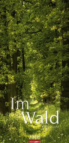 Im Wald - Kalender 2018 | Sonstiges | 978-3-8400-7116-4 | www2.sack.de
