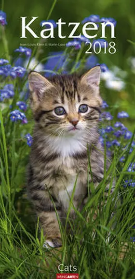Klein / Hubert | Katzen - Kalender 2018 | Sonstiges | 978-3-8400-7119-5 | www2.sack.de