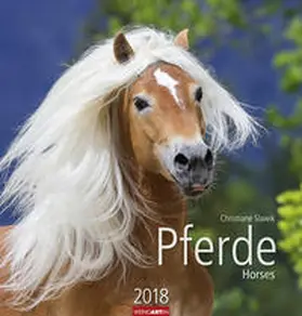 Slawik | Pferde - Kalender 2018 | Sonstiges | 978-3-8400-7145-4 | www2.sack.de