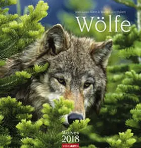 Klein / Hubert |  Wölfe - Kalender 2018 | Sonstiges |  Sack Fachmedien