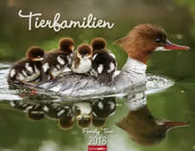 Tierfamilien - Kalender 2018 | Sonstiges | 978-3-8400-7166-9 | www2.sack.de
