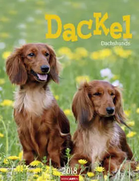 Dackel - Kalender 2018 | Sonstiges | 978-3-8400-7180-5 | sack.de
