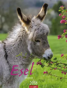 Hubert / Klein |  Esel - Kalender 2018 | Sonstiges |  Sack Fachmedien