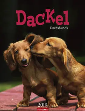 Weingarten |  Dackel - Kalender 2019 | Sonstiges |  Sack Fachmedien
