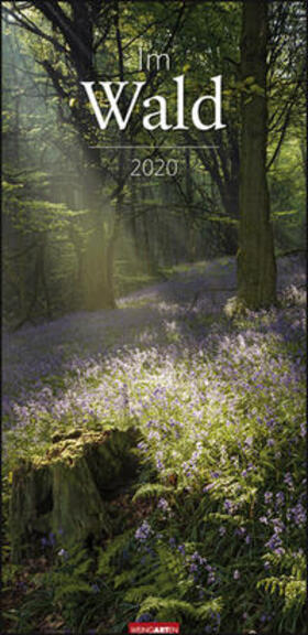 Weingarten |  Im Wald - Kalender 2020 | Sonstiges |  Sack Fachmedien