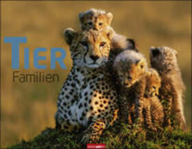 Weingarten |  Tierfamilien - Kalender 2020 | Sonstiges |  Sack Fachmedien