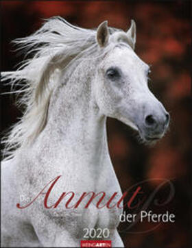 Die Anmut der Pferde - Kalender 2020 | Sonstiges | 978-3-8400-7715-9 | www2.sack.de