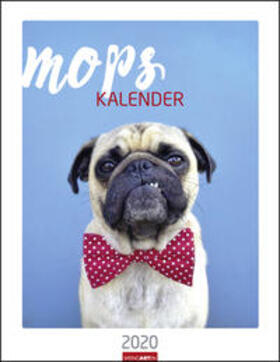 Weingarten |  Mops - Kalender 2020 | Sonstiges |  Sack Fachmedien