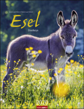 Weingarten |  Esel - Kalender 2020 | Sonstiges |  Sack Fachmedien