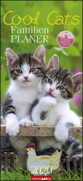 Weingarten |  Familienplaner Cool Cats - Kalender 2020 | Sonstiges |  Sack Fachmedien