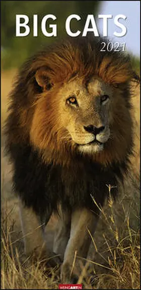 Weingarten |  Big Cats Vertical Kalender 2021 | Sonstiges |  Sack Fachmedien