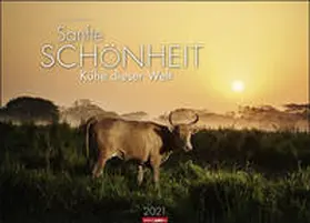 Weingarten |  Sanfte Schönheit - Kühe dieser Welt Kalender 2021 | Sonstiges |  Sack Fachmedien