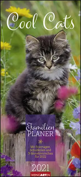 Weingarten |  Familienplaner Cool Cats - Kalender 2021 | Sonstiges |  Sack Fachmedien