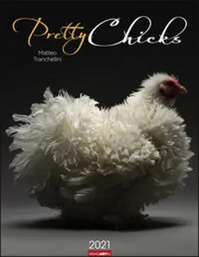Matteo Tranchellini / Weingarten |  Pretty Chicks Kalender 2021 | Sonstiges |  Sack Fachmedien
