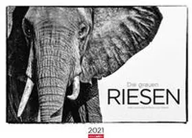 Hubert / Weingarten / Klein |  Die grauen Riesen Kalender 2021 | Sonstiges |  Sack Fachmedien