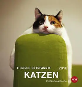 Tierisch entspannte Katzen Postkartenkalender - Kalender 2018 | Sonstiges | 978-3-8401-5559-8 | sack.de