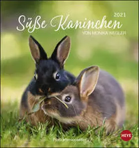 Heye / Wegler | Süße Kaninchen 2021. Postkartenkalender | Sonstiges | 978-3-8401-7562-6 | sack.de