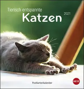 Heye | Tierisch entspannte Katzen Postkartenkalender 2021 | Sonstiges | 978-3-8401-7790-3 | sack.de