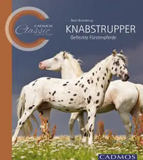 Branderup |  Knabstrupper | Buch |  Sack Fachmedien