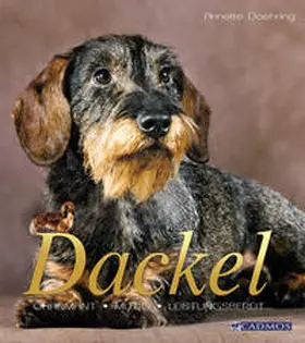 Doehring | Dackel | Buch | 978-3-8404-2807-4 | sack.de