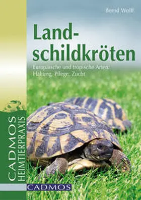 Wolff |  Landschildkröten | Buch |  Sack Fachmedien