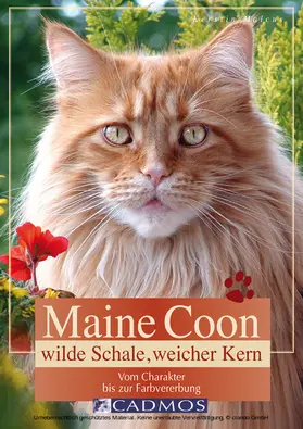 Malcus |  Maine Coon - Wilde Schale weicher Kern | eBook | Sack Fachmedien